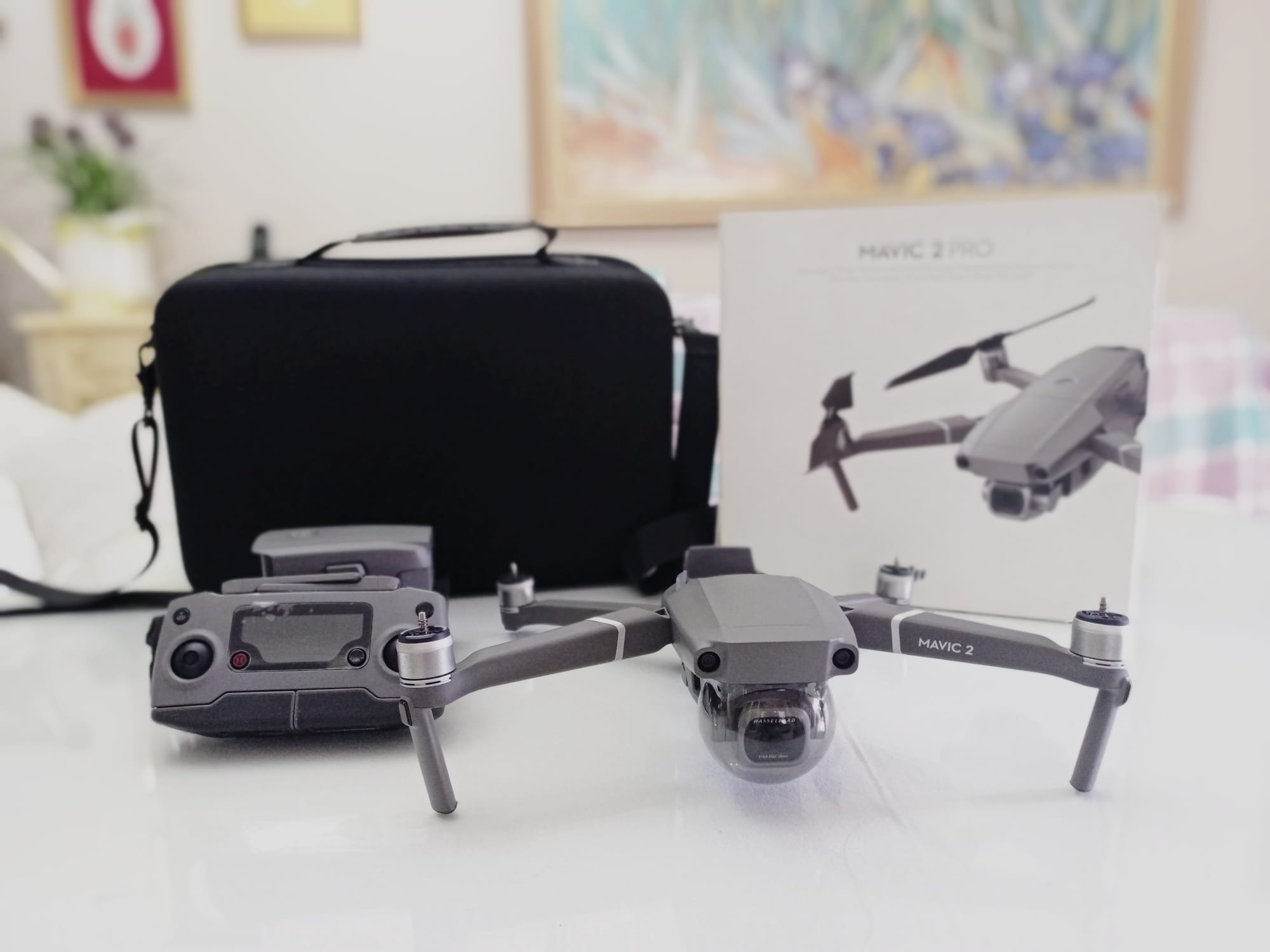 Drone DJI Mavic 2 (2207)